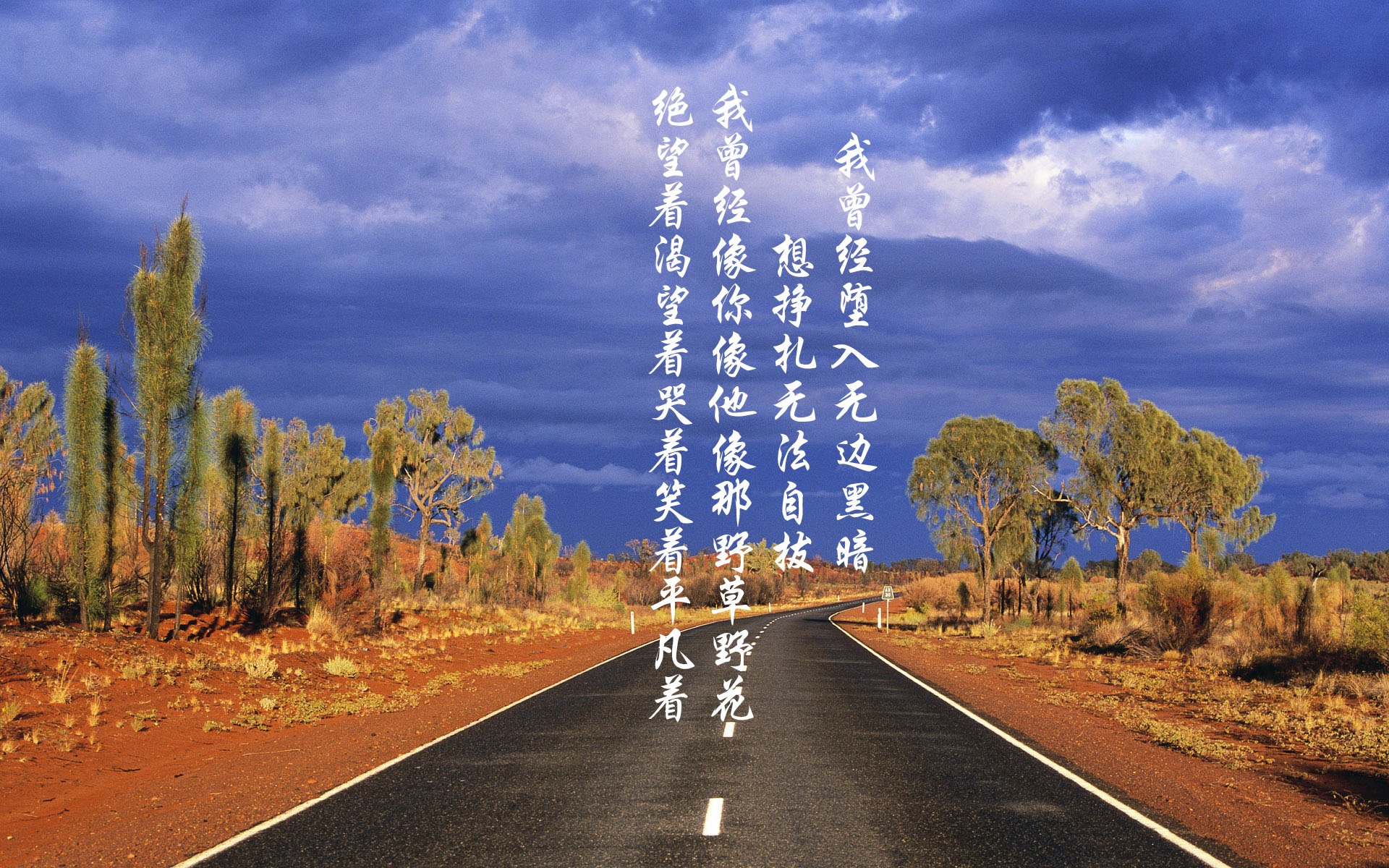 开云官方网页登录-_世界中学网球联赛：校园运动的新风尚_，世界中学生网球锦标赛