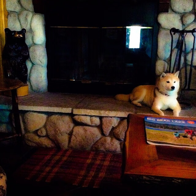 Kaiyun APP-“中超联赛第十轮精彩回顾：豪门再次展现统治力”，中超第十轮对阵