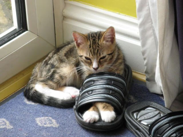 关键时机:险中求胜的绝佳战术安排,何为关键时刻