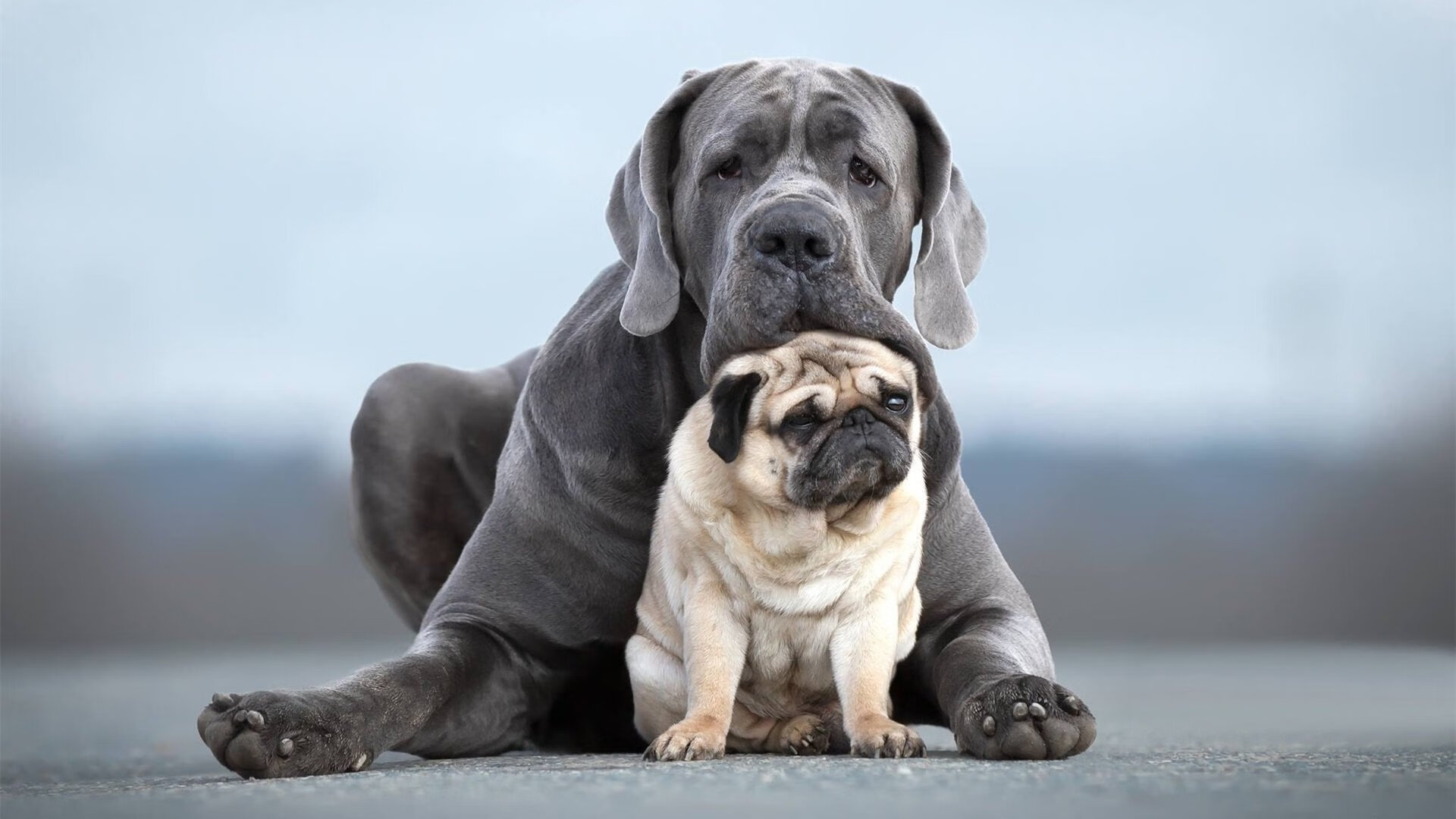 开云体育在线赛事直播-环保与高速的平衡：F1的绿色转型路径，f1 环保
