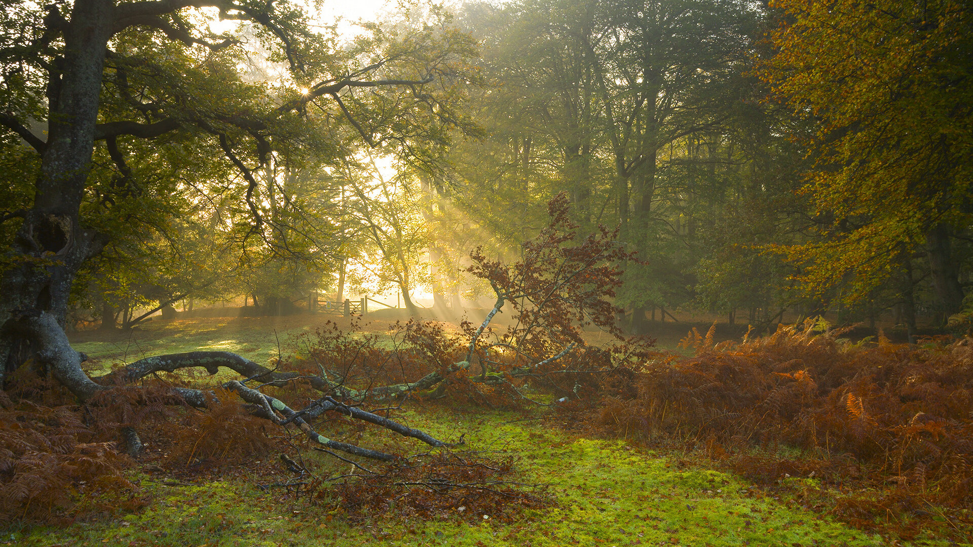 开云下载-切尔西女足球员社区服务活动，切尔西足球队员