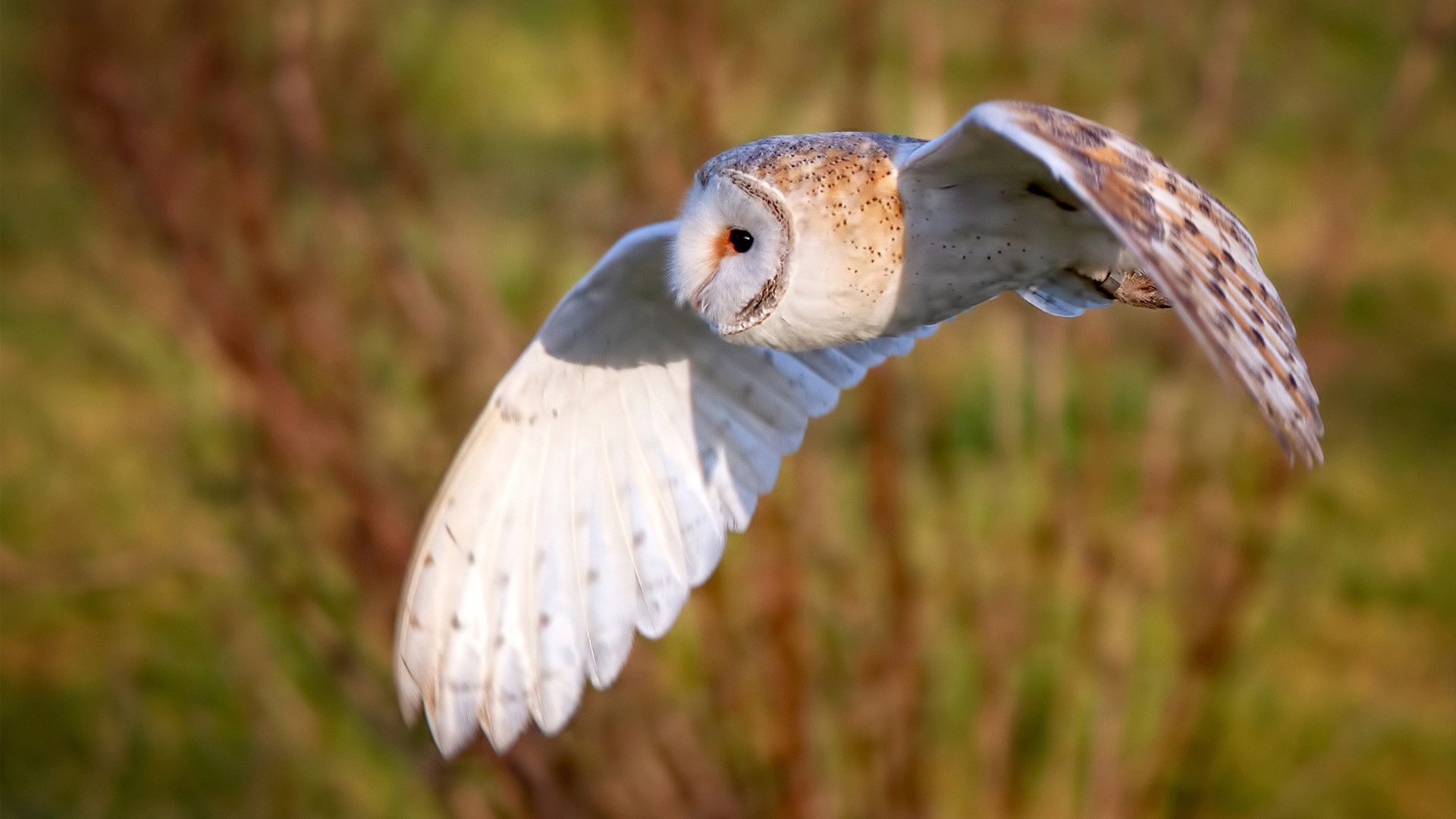 Kaiyun(中国)开云-比赛节奏是否影响球员健康，比赛节奏是什么意思