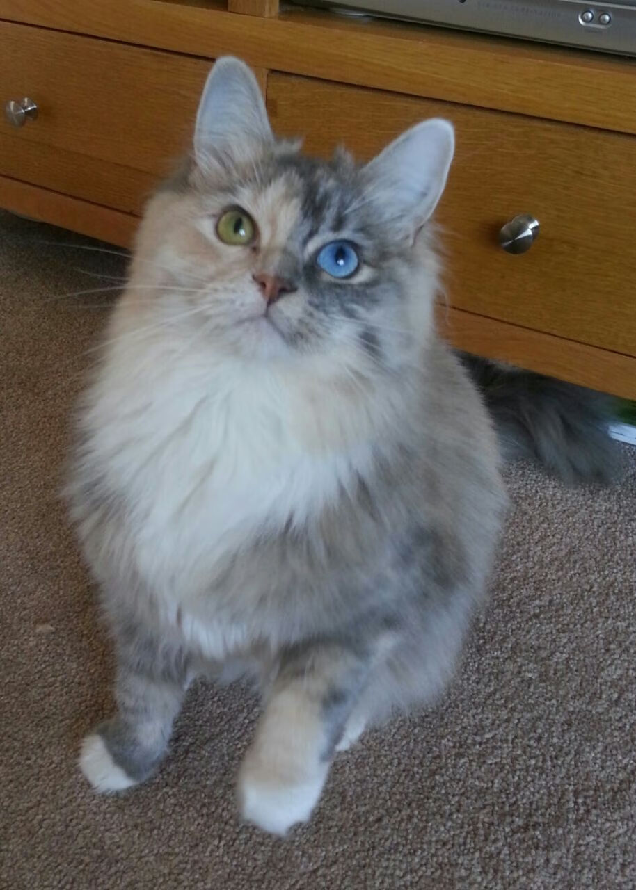 开云·Kaiyun网页版-率先取得优势，谁将掌握胜利的主动权？，率先成势