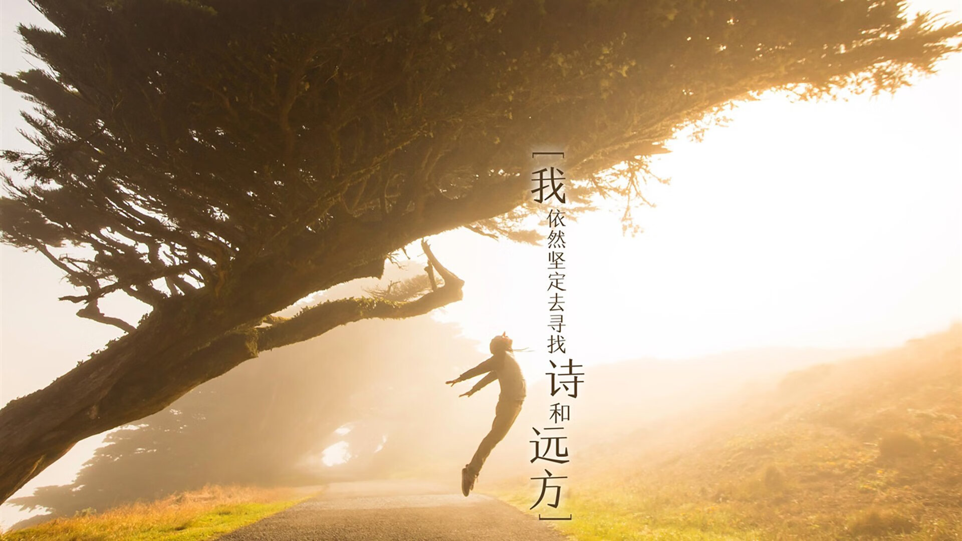 开云体育APP下载-阿尔梅里亚是否应改变保守打法，阿尔梅里亚地图