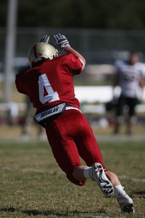 kaiyun-五大联赛的魅力：不同国家球队的差异化风格，5大联赛球队综合实力排名