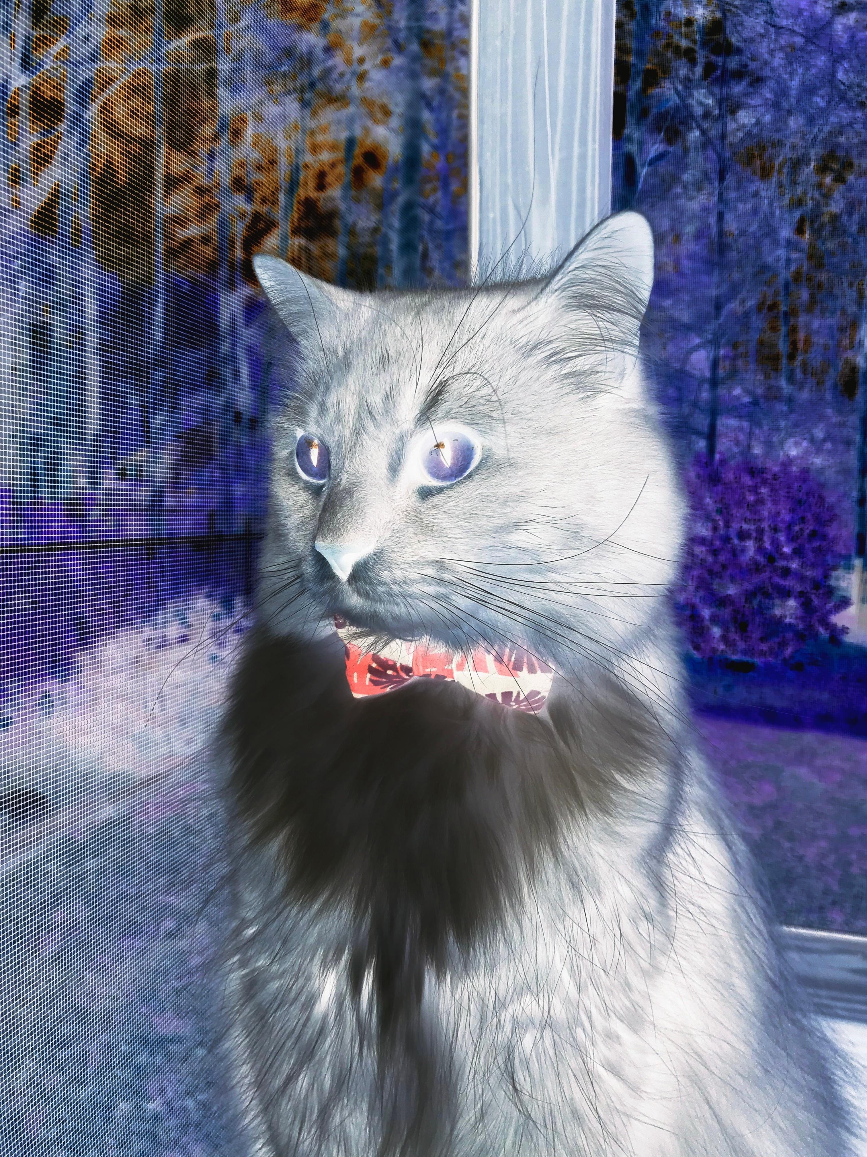 kaiyun体育app-青少年体育培训质量提升，青少年体育培训的政策环境