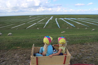 开云入口-青少年足球训练方法现代化，青少年足球技术