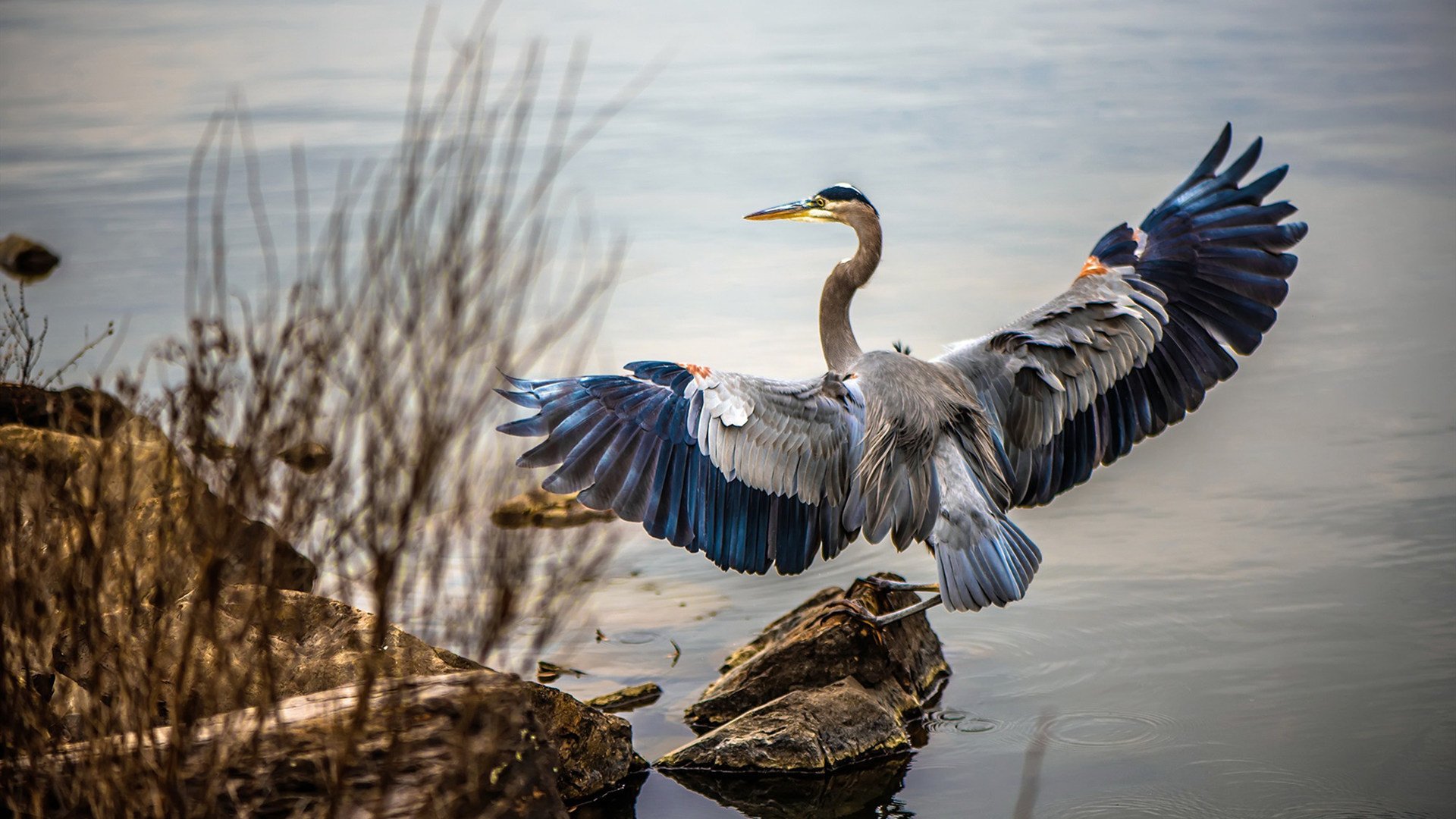 伊拉克男篮在西亚锦标赛中拼搏奋战,期待突破