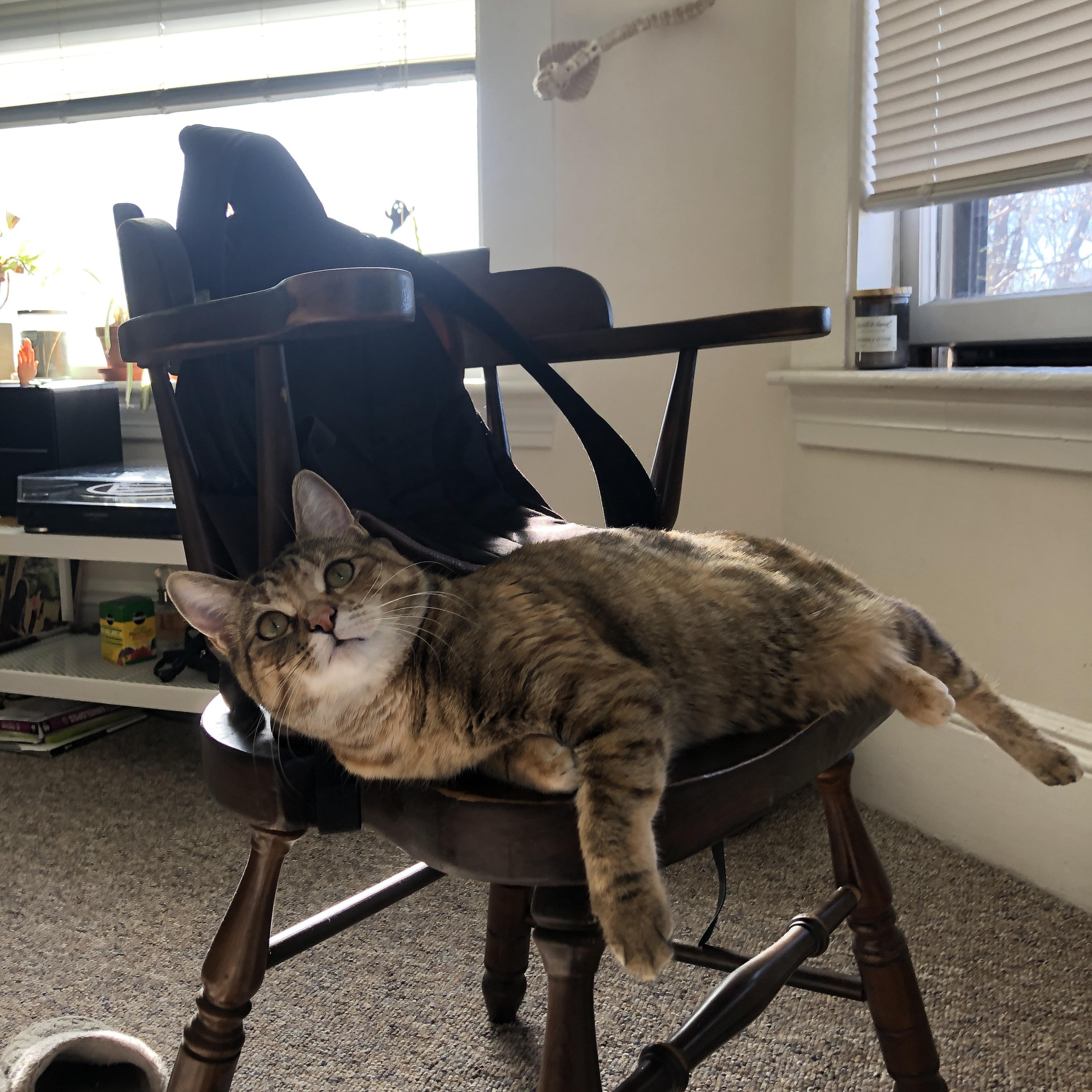 开云中国-国家队公开训练日吸引万名观众，互动活动大受欢迎，国家队训练在哪