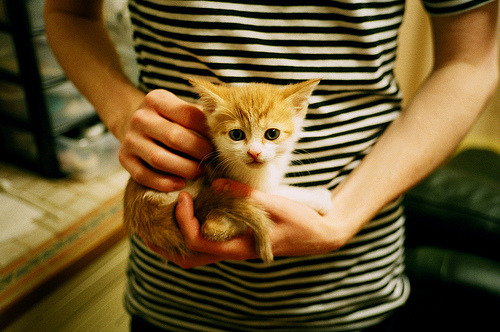 开云体育下载官网-青少年篮球挑战营引入分组对抗提高临场判断与协作能力，青少年篮球队训练视频